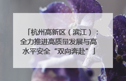 杭州高新区（滨江）：全力推进高质量发展与高水平安全“双向奔赴”